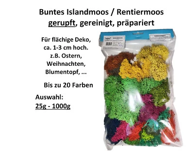 Muwse buntes gerupftes Rentier- Islandmoos Ostern Weihnachten gereinigt haltbar