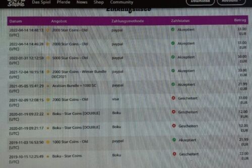 StarStable Account Lifetime - Bild 3 von 7