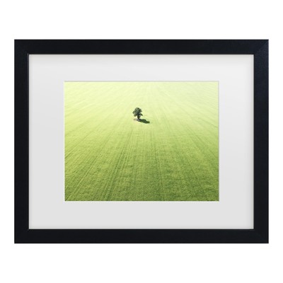 Framed Wall Art - Marcus Cederberg 'Lonely tree' Wall Decor with Matted Frame