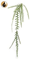 Artplants KüNstlicher Blattkaktus Bragin, Steckstab, GrüN, 125Cm