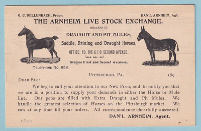 UNITED STATES ADVERTISING CARD ARNHEIM LIVE STOCK EXCHANGE