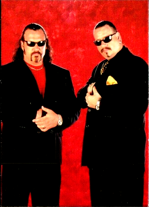 The Godwins Southern Justice 1998 Comic Images WWF Superstarz