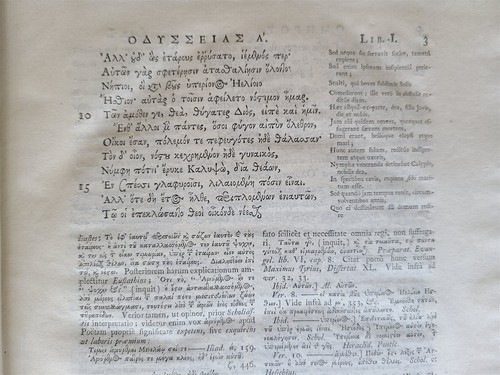 1729-1740 HOMER ILIAS & ODDYSEA 2 VOLUMES antique w/ MAPS LATIN & GREEK TEXT - Picture 6 of 18