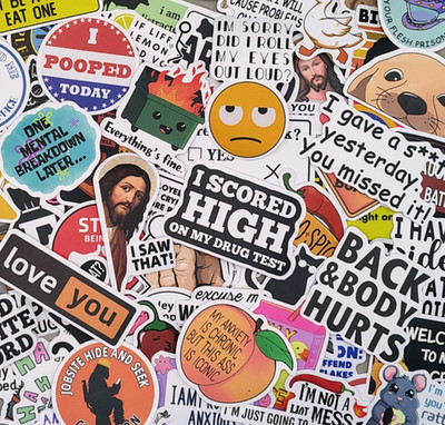 100 Pcs Funny Meme Stickers Pack Vinyl Decals Sarcastic Adult Humor Joke Lot