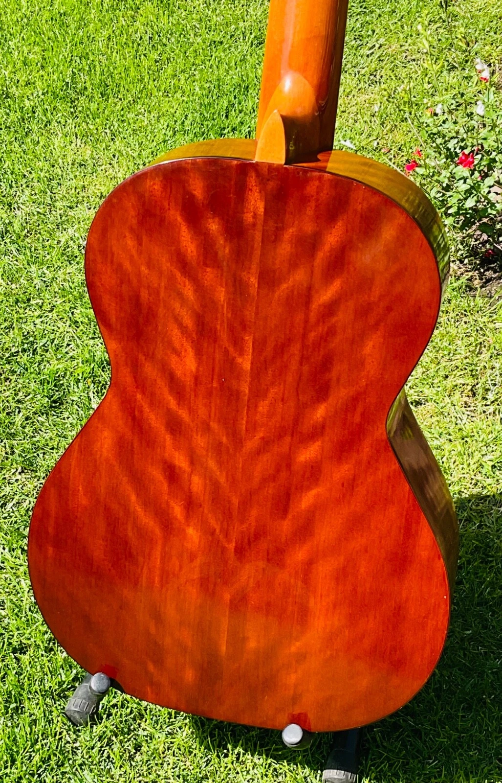 Picture 6 of 13