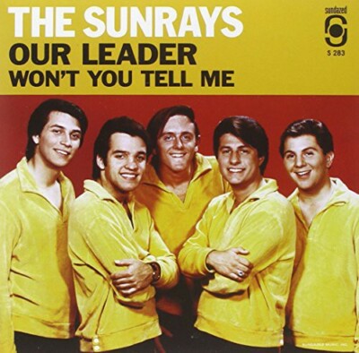 Our Leader / Won't You Tell Me by Sunrays (Record, 2014)