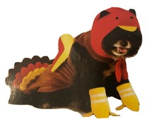 Dog Turkey Costume XL Shipped From U.S.