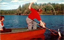 Vintage postcard, Tichnor Bros., Inc., Boston, Massachusetts, NOSNI "Lu postcard