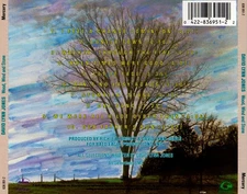 DAVID LYNN JONES - WOOD, WIND AND STONE NEW CD