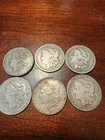Lot of 6 Morgan Silver Dollars different dates