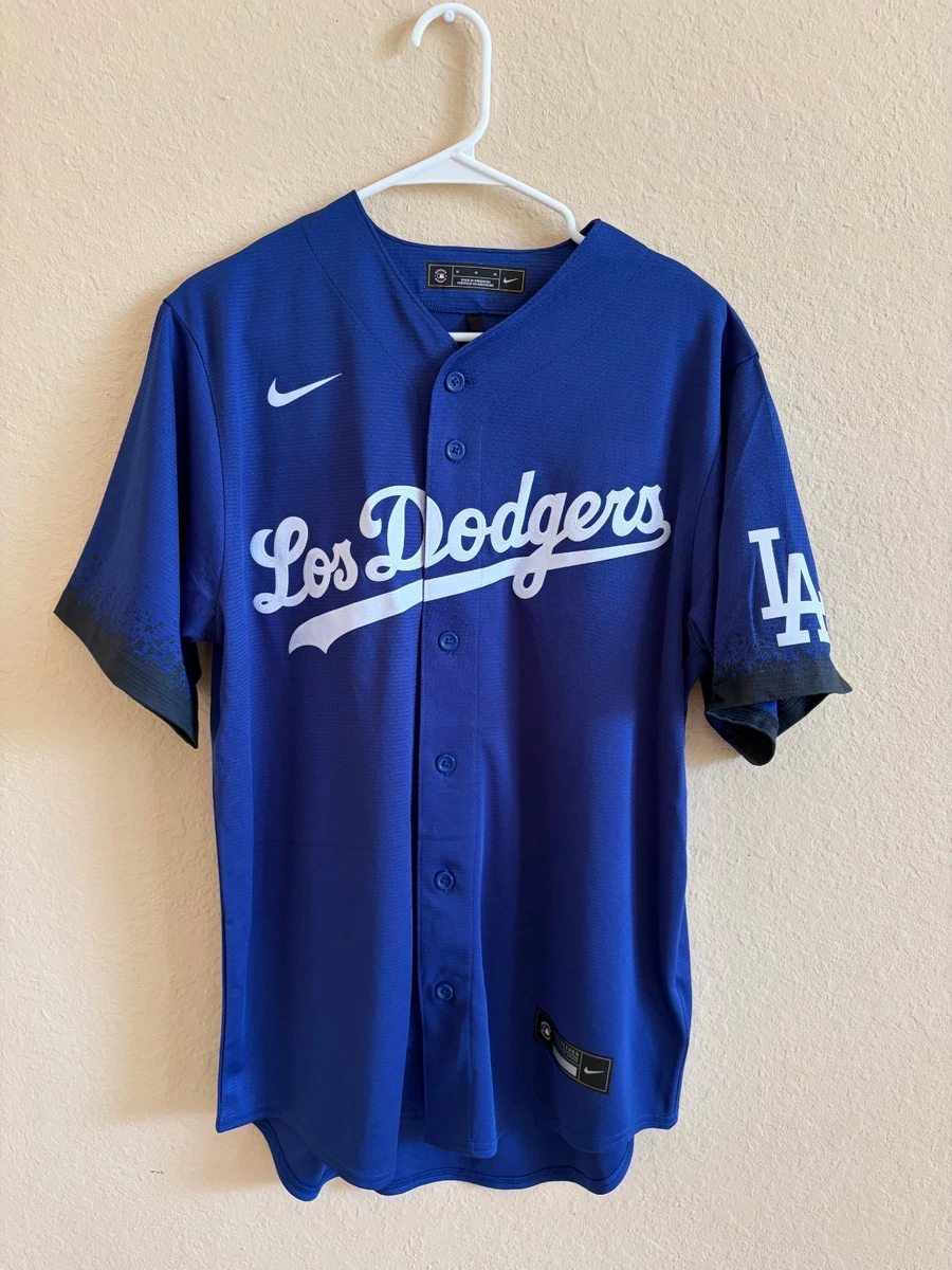 Nike Los Angeles Dodgers Regular Season MLB Fan Apparel