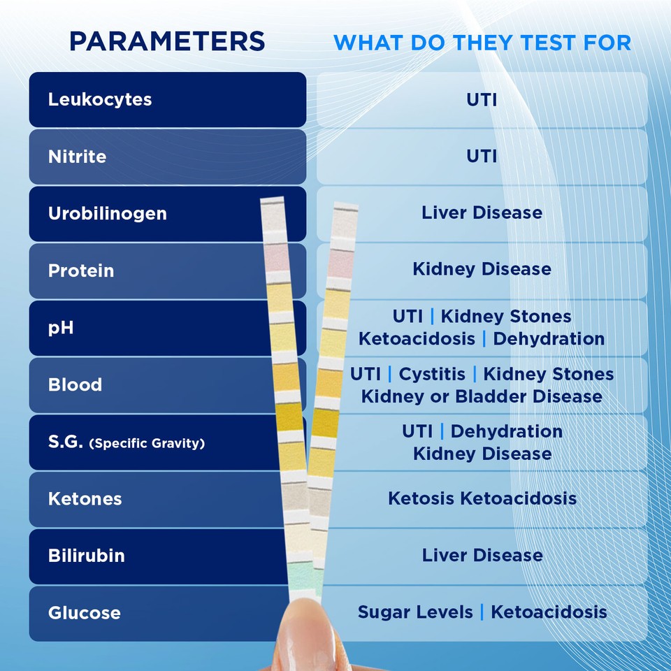 Kidney Infection Kit Liver, Kidney, Urine Infection UTI, Blood, 6in1 Tests Family Health ...