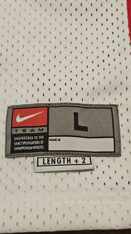 Camiseta Jason Kidd New Jersey Nets Nike NBA Swingman Baloncesto Talla L Nueva  Foto 3 de 4