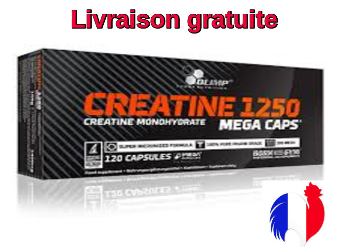 Créatine en poudre 1250g micronisée pour vos boissons de fitness