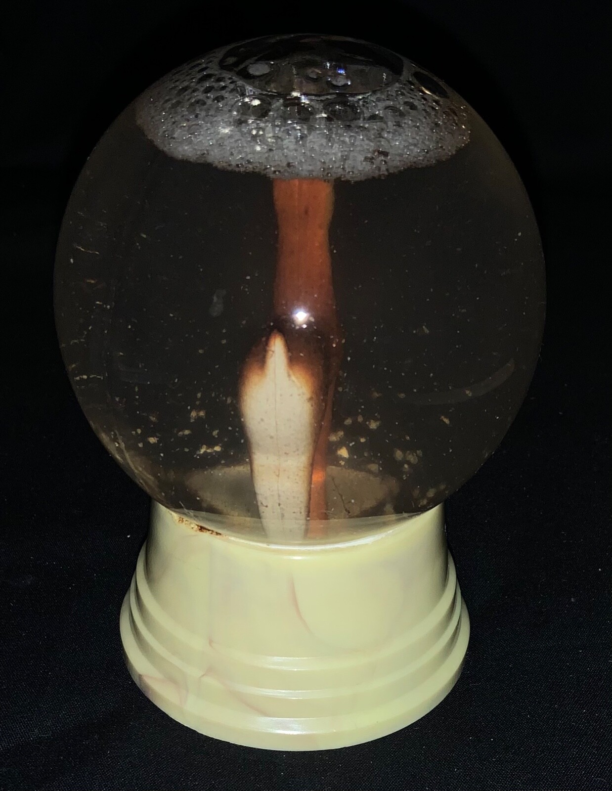 Picture 5 of 12