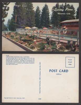 Old California Postcard   Luring Pines Mountain Club