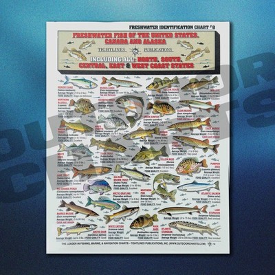 Freshwater Fish Identification Chart #8 (US, Canada, and Alaska) - Waterproof Qu