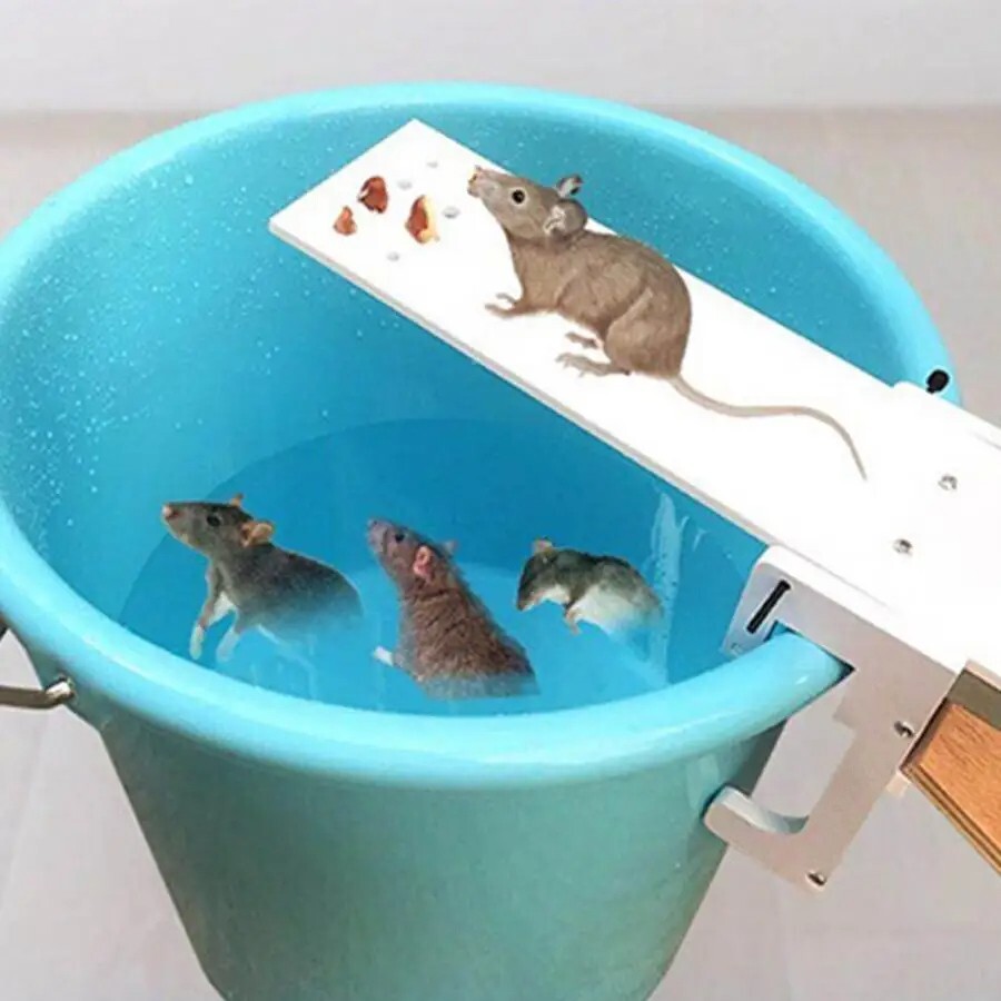 Piège à rats métallique durable avec mécanisme de précision anti-nuisibles