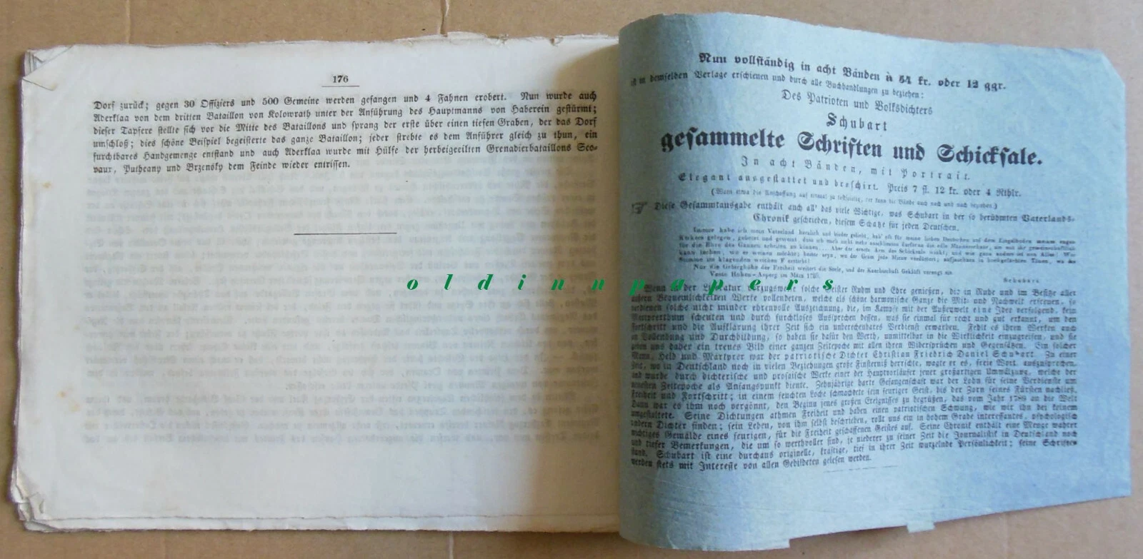 Bild 7 von 8