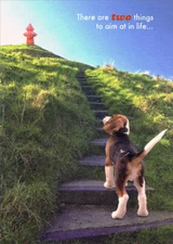 Designer Greetings Beagle Going Up Steps to Reach Hydrant Good Luck Card