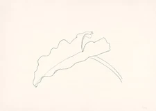 Ellsworth Kelly: Leaf VIII 22x30 Archival Quality Fine Art Print