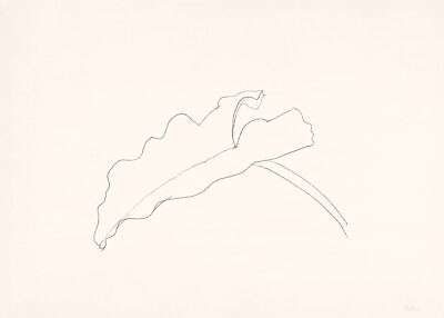 Ellsworth Kelly: Leaf VIII 22x30 Archival Quality Fine Art Print