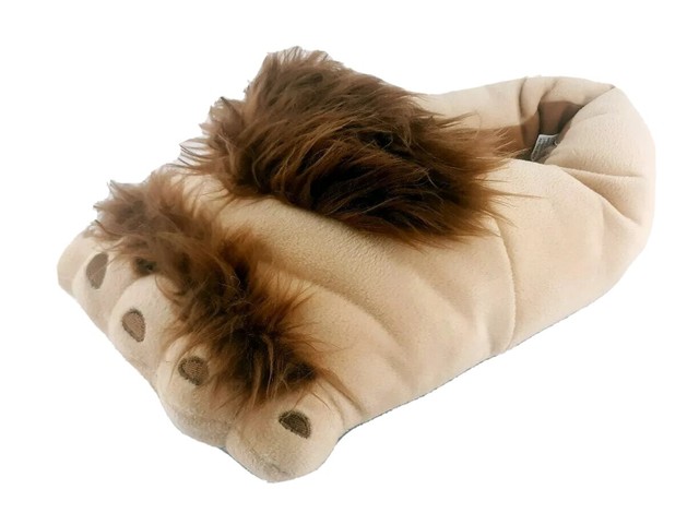 bear foot slippers