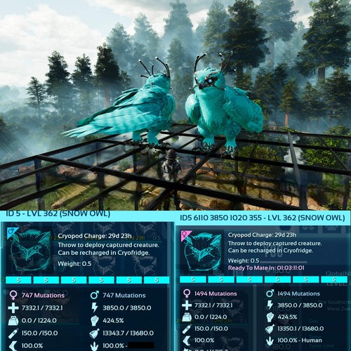 Ark Survival Ascended Pve Snow Owl Healer Max Level 362 / Solids / TOP STATS - Picture 26 of 29