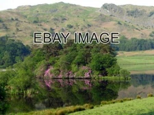 PHOTO  RHODODENDRONS ON THE ISLAND A SPLASH OF PINK IS PROVIDED BY THE BLOOMING