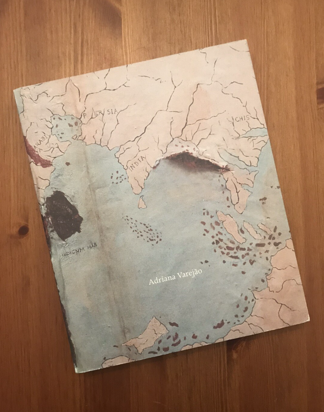Adriana Varejao Contemporary Art Exhibition Catalog