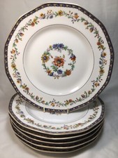  6  Theodore Haviland Limoges 'Chateaudun' 9.625 Inch DINNER PLATES