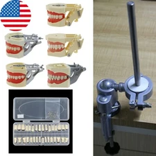 Dental Typodont Model Mounting Pole 28 32 Teeth Kilgore Nissin Columbia Frasaco