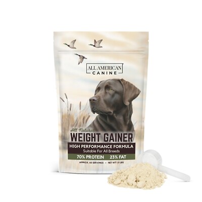 Dog Weight Gainer - Dog Protein Powder - High Calorie Dog Food Supplement