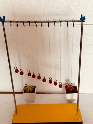 wave motion pendulum on wooden base for science labs. Edufab