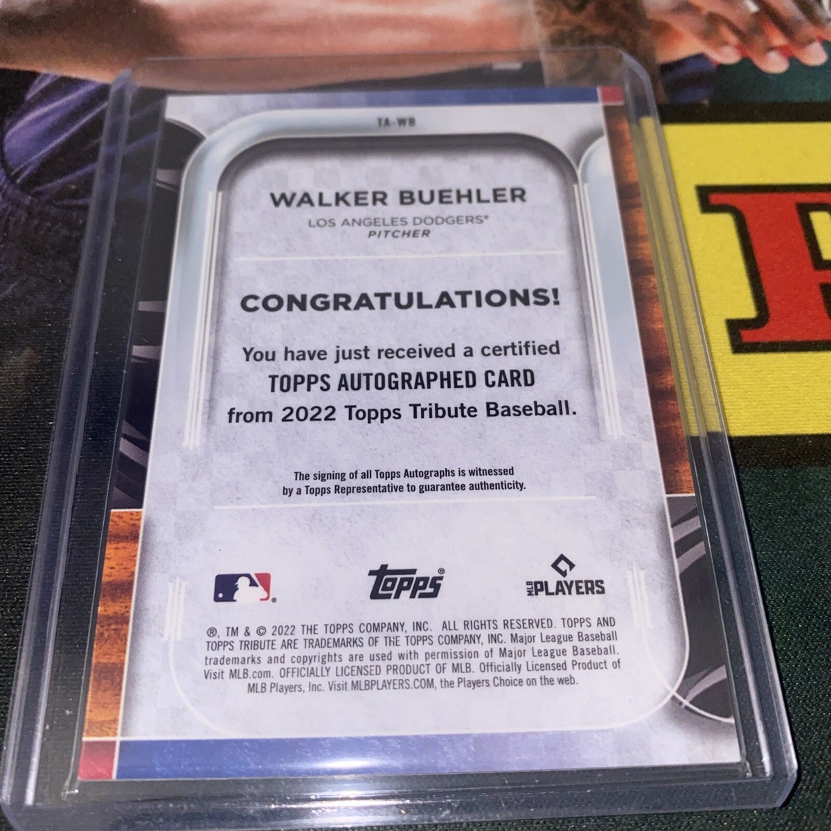 Topps Tribute Walker Buehler Auto On Card Purple SSP/50 Dodgers