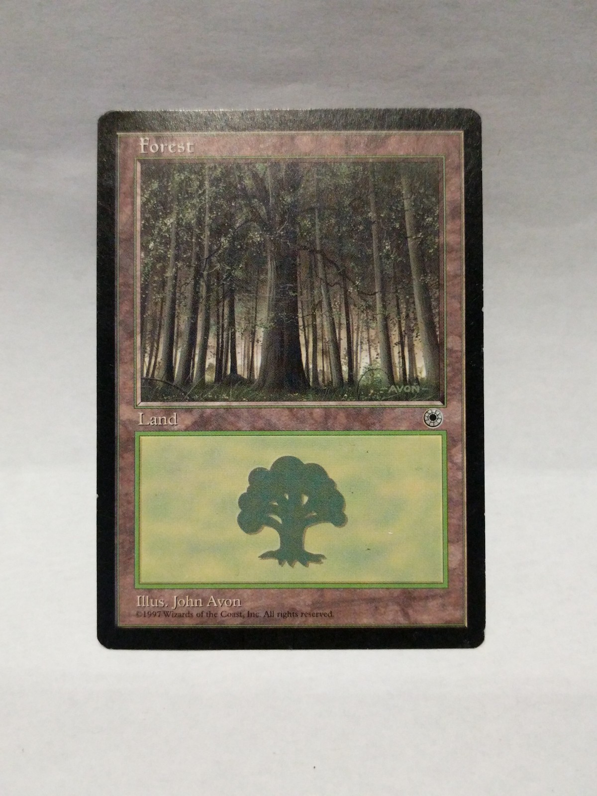 Forest (172) X4 EX/NM Starter 1999 MTG Magic Cards Basic Land Common 99