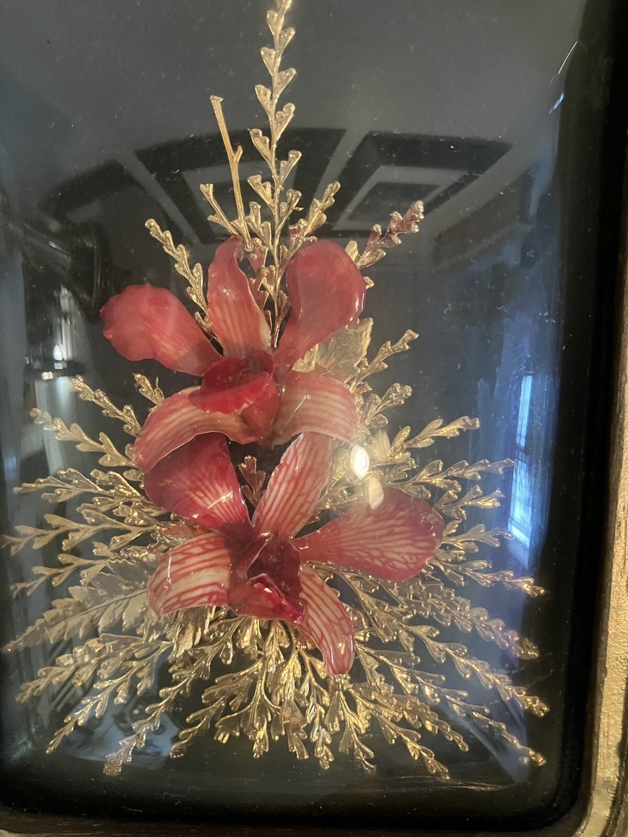 アンティークハワイの花と24KGリーフインフレーム インテリア 壁掛け