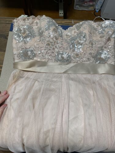 Watters & Watters Womens Dress 8 Champagne Beige Beaded And Toile Gown NWT