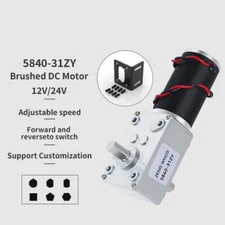 Double Output Shaft 5840-31ZY Worm Gear Reduction Self-locking Motor DC 12V 24V
