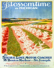 POSTER BLOSSOMTIME IN MICHIGAN FLOWERS SPRING USA TRAVEL VINTAGE REPRO FREE S/H