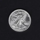 Lot of 50 Walking Liberty Half Dollar Design 1/10 ozt .999 Silver Rounds w/Tube