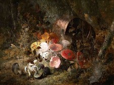 Still life of mushrooms Accent Tile Mural Kitchen Bathroom Wall Backsplash 8x6