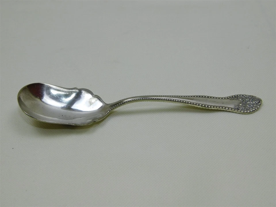 Rosas cuchara bayas 1899 Wm Rogers XX plateadas 6" Foto 2 de 4