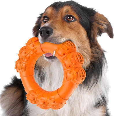Indestructible Dog Chew Ring Toys for Aggressive Chewers, Super Chewer Toy for M