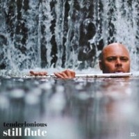 Still Flute - Vinyl Record - G4Z