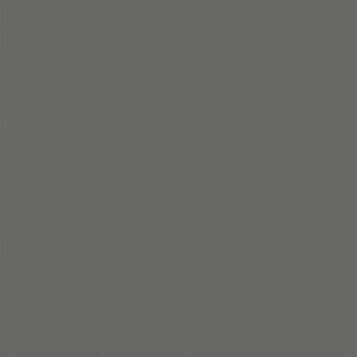 Testors Graphite Dust One-Coat Metallic Lacquer Spray Paint - 3oz 88.7mL 1849MT