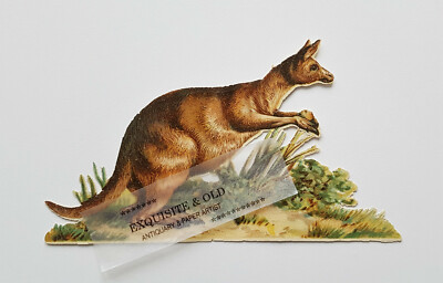 um 1900 Känguru Australien Tier Glanzbild Oblate Prägedruck Ephemera Luxuspapier