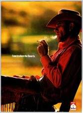 COWBOY SMOKING MARLBORO CIGARETTES Vintage 8X...