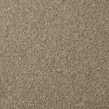 Apollo Plus Carpet- Stepping stone  -6.5mm Pile- Free Delivery- Samples