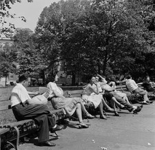 People Sit And Rest On Park Benches In New York 1947 OLD PHOTO